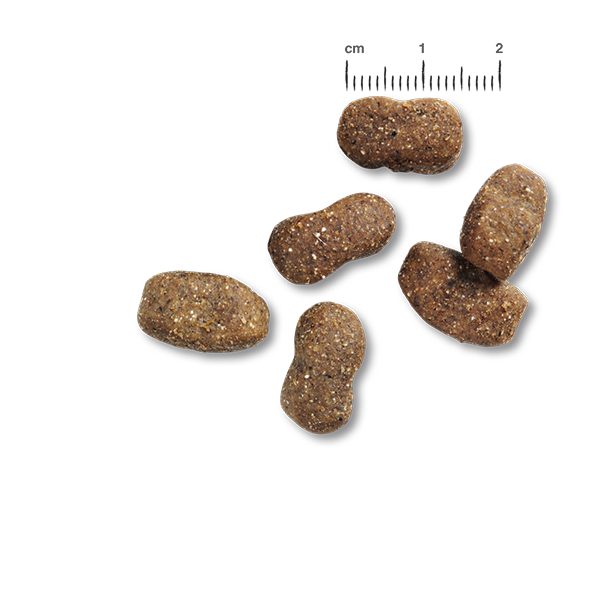 BELCANDO® Junior GF Poultry BELCANDO® Junior GF Poultry